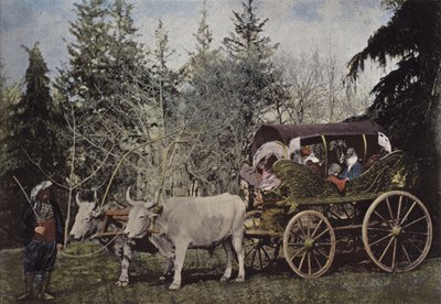 Voiture de promenade des dames turques - European Photographer